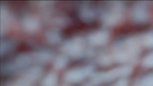 Snapshot of hsua0098 chatting on April 2026 10:34:02 PM hsua0098 online show from April 2026 10:34:02 PM