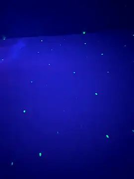 Snapshot of sweetttr chatting on September 2025 08:32:01 PM sweetttr online show from September 2025 08:32:01 PM