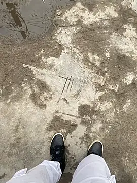 swami ji online show from March 2026 11:14:01 AM