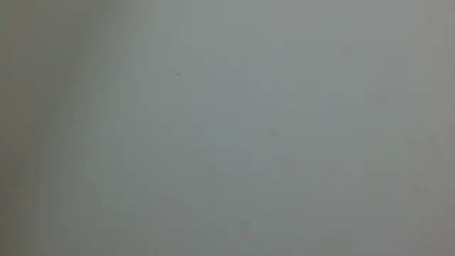 cristal1609 online show from May 2026 01:07:02 PM