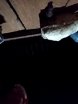 callistra online show from December 2025 02:56:02 PM