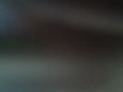 Lina500 online show from October 2025 08:37:02 AM