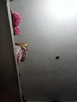 ipvk online show from April 2026 10:32:01 PM