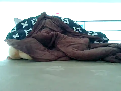 loveninja online show from November 2025 06:13:01 AM