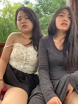 taotao 19 online show from September 2025 03:43:02 AM