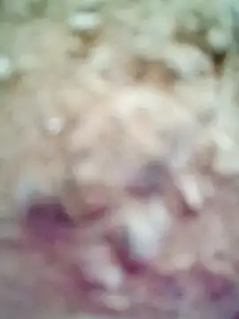 M-Kajal456 online show from November 2025 03:49:02 AM