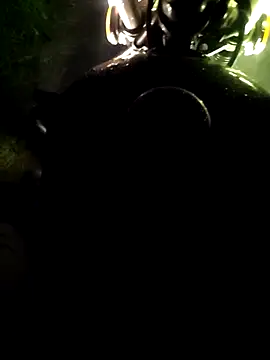 DICKLANKA online show from April 2026 02:13:02 PM