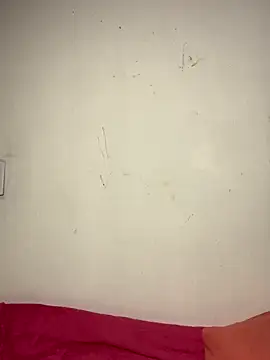 Bulma04 online show from November 2025 04:33:01 AM