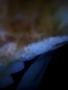 alone boy802 online show from November 2025 12:54:01 AM