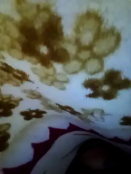 alone boy802 online show from November 2025 07:30:01 AM