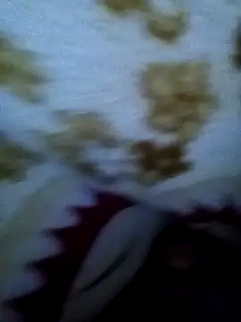 alone boy802 online show from November 2025 03:49:02 AM