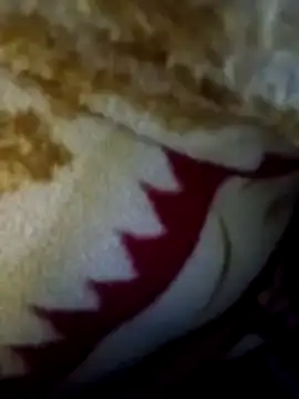 alone boy802 online show from December 2025 10:17:02 PM