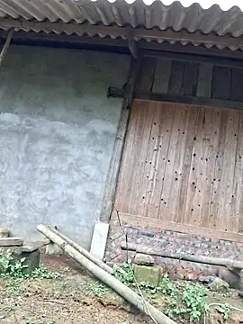 xuxulovezz online show from November 2025 06:55:01 AM