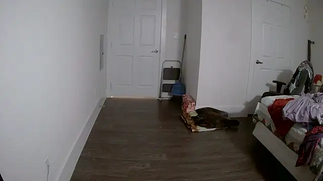 Snapshot of Buggy1965 chatting on April 2026 02:00:02 PM Buggy1965 online show from April 2026 02:00:02 PM