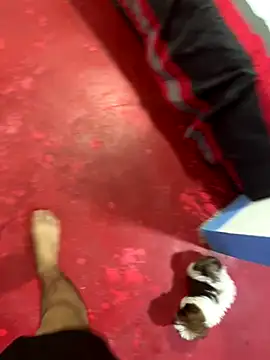 hot duo16 online show from October 2025 04:15:02 AM