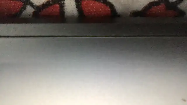 paula19800 online show from November 2025 06:19:01 PM