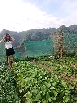 Snapshot of Meomeo-meo chatting on November 2025 08:35:02 AM Meomeo-meo online show from November 2025 08:35:02 AM