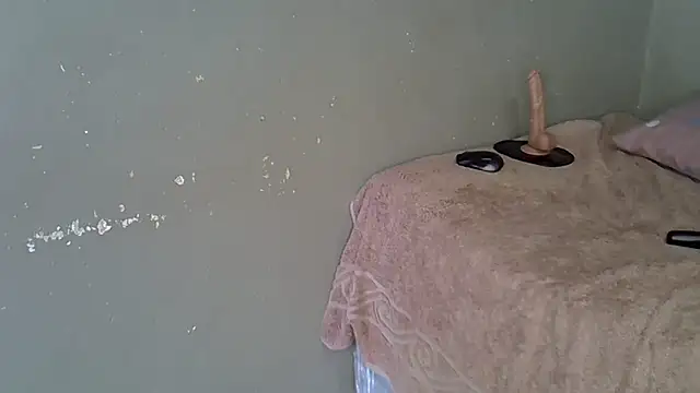 Bellabootie online show from February 2026 06:28:02 AM