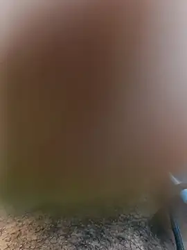 Snapshot of Mohamed234897 chatting on November 2025 02:28:01 PM Mohamed234897 online show from November 2025 02:28:01 PM