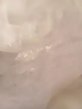 Snapshot of ruiiizz chatting on March 2026 06:45:02 PM ruiiizz online show from March 2026 06:45:02 PM