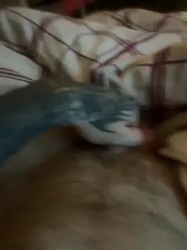 Thebald-topher online show from September 2025 11:10:02 PM