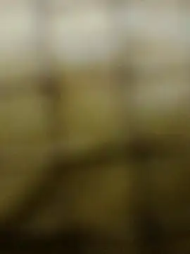 Rs sonam online show from December 2025 10:57:02 AM