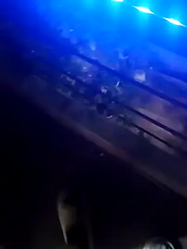 Tequilamaster online show from November 2025 03:52:01 AM