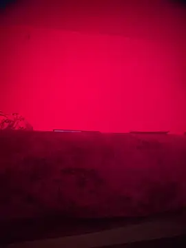 bellacagyal online show from November 2025 09:08:02 AM