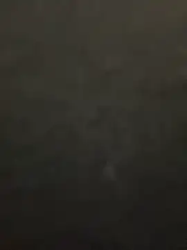 lee ly online show from December 2025 11:36:02 AM