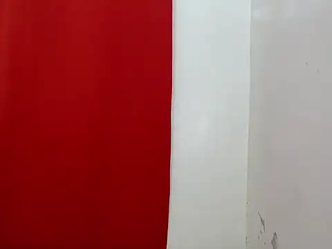 Snapshot of amandareddragon chatting on November 2025 04:38:01 PM amandareddragon online show from November 2025 04:38:01 PM