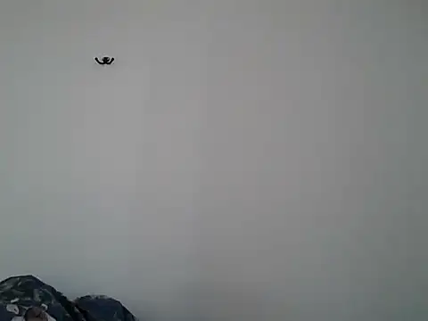 VanBeatPL online show from October 2025 08:57:01 AM