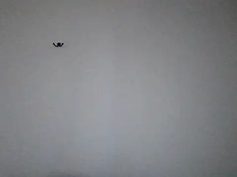 VanBeatPL online show from October 2025 07:08:01 AM