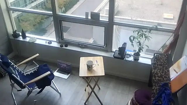 tia   fox online show from October 2025 08:21:02 PM