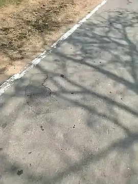 Snapshot of PEEHU-50 chatting on March 2026 06:21:01 AM PEEHU-50 online show from March 2026 06:21:01 AM