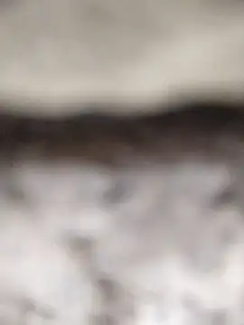 Snapshot of PEEHU-50 chatting on March 2026 02:18:01 AM PEEHU-50 online show from March 2026 02:18:01 AM