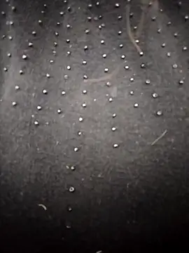 Snapshot of PEEHU-50 chatting on March 2026 02:17:02 AM PEEHU-50 online show from March 2026 02:17:02 AM