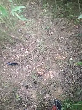 Snapshot of Aadityaaa07 chatting on November 2025 05:40:02 AM Aadityaaa07 online show from November 2025 05:40:02 AM