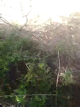 Snapshot of Aadityaaa07 chatting on April 2026 08:40:01 AM Aadityaaa07 online show from April 2026 08:40:01 AM