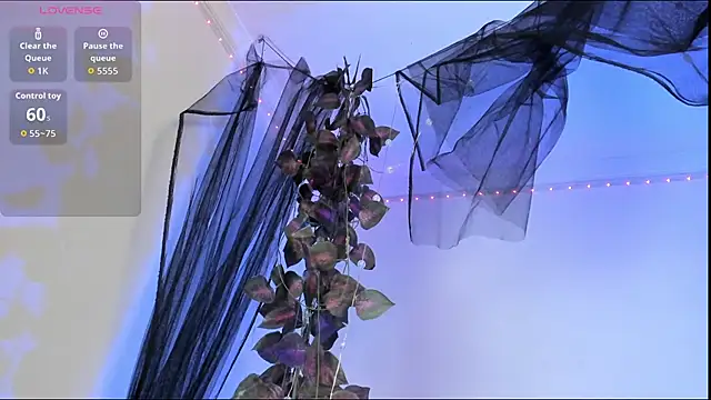 Shinny Crystal online show from October 2025 01:33:02 PM