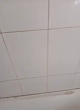 PhoningTint online show from October 2025 03:22:02 PM