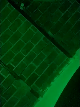 Snapshot of Buddha289 chatting on March 2026 07:34:01 AM Buddha289 online show from March 2026 07:34:01 AM