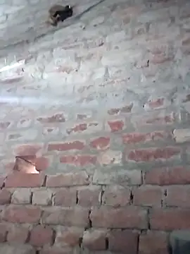 Snapshot of Rani_089 chatting on October 2025 01:58:02 AM Rani 089 online show from October 2025 01:58:02 AM