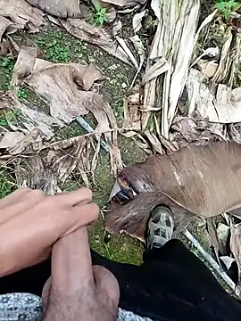 Sikici0734 online show from November 2025 09:19:02 AM