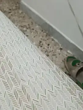 Snapshot of Lucastra98 chatting on November 2025 08:14:01 AM Lucastra98 online show from November 2025 08:14:01 AM