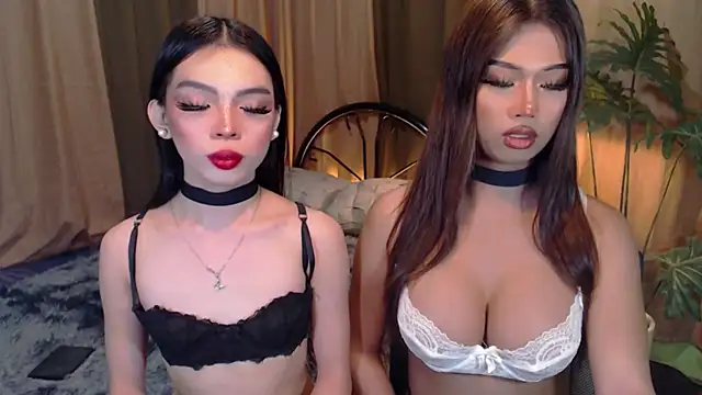 TWINKTRANSSHANEL online show from October 2025 04:21:02 AM