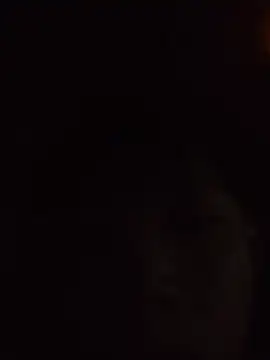 aooya online show from November 2025 01:47:02 PM