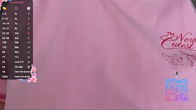 Snapshot of GilySuper chatting on February 2026 11:22:02 AM GilySuper online show from February 2026 11:22:02 AM