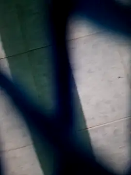 Neilhot98 online show from November 2025 07:03:02 AM