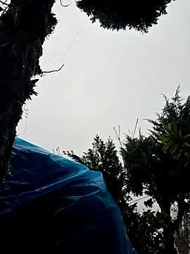 miomio-12 online show from November 2025 01:35:02 PM