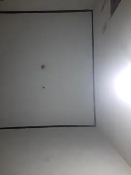 wibunewbie online show from December 2025 03:51:02 PM